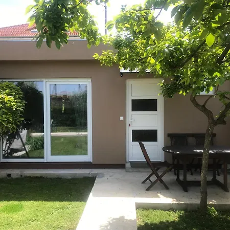 Antonia זאדאר